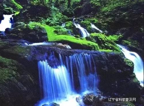 中国抗原曾“供应全世界”,为什么现在国内一盒难求了呢?探索知识星球,快人一步!