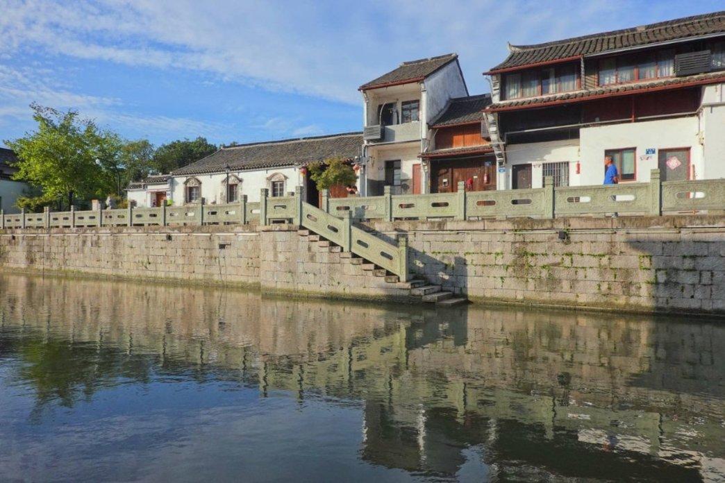 三文鱼是买整条划算还是半条?-探索热门话题的红迪网平台